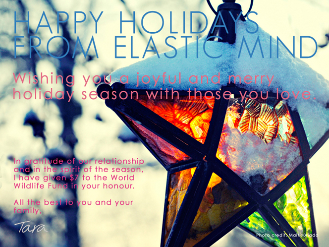 Happy Holidays from Elastic Mind